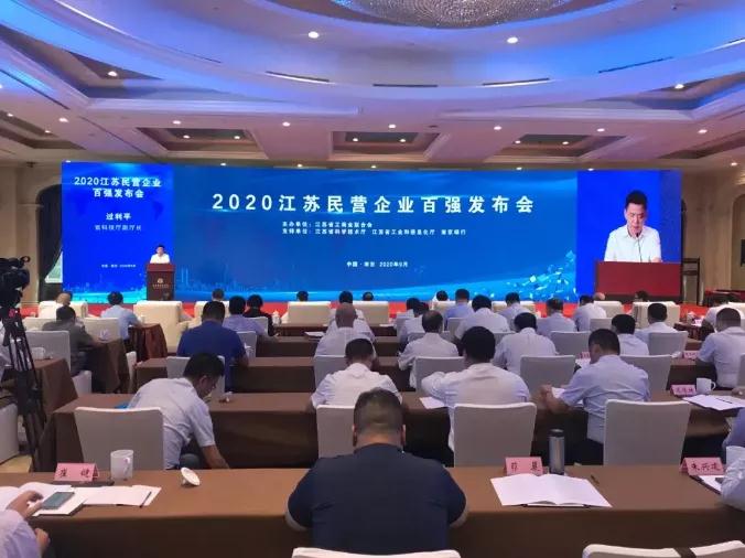 银娱优越会GEG入选2020江苏民营企业立异100强